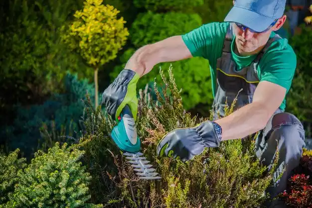 landscaping services Clarence